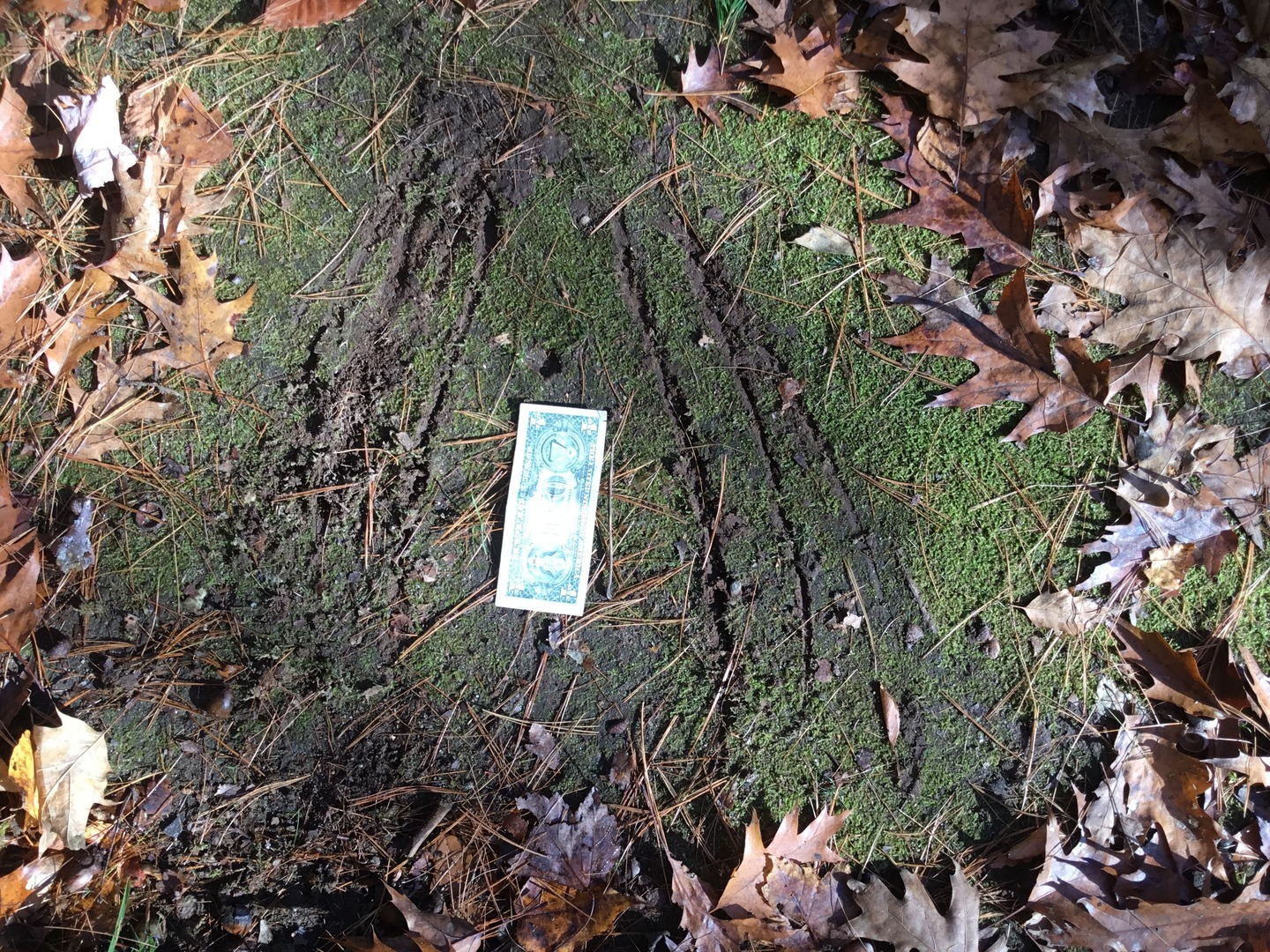 N/A